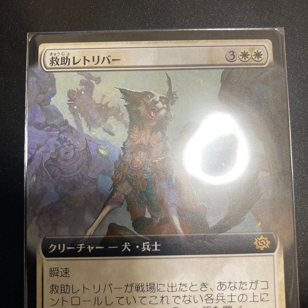 Rescue Retriever Extension Frame