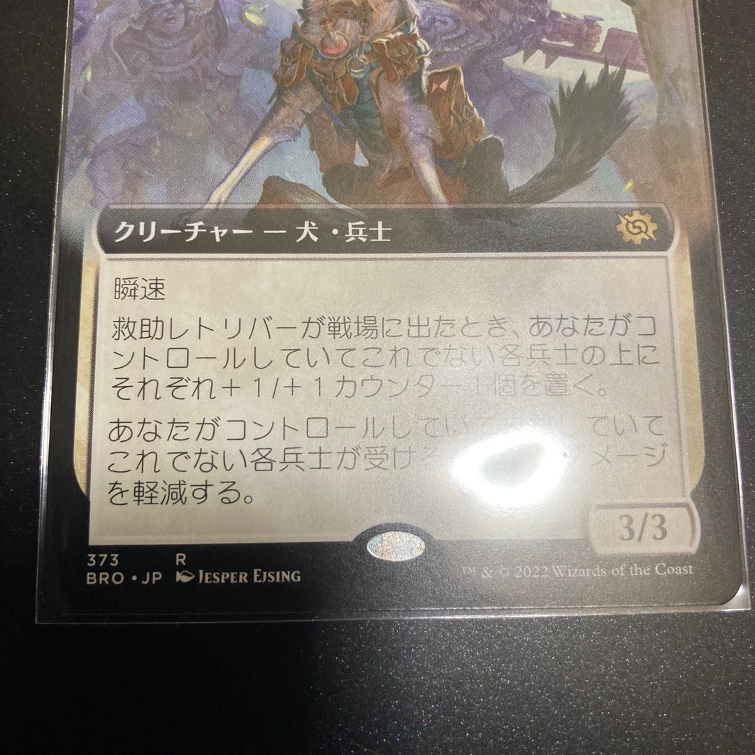 Rescue Retriever Extension Frame