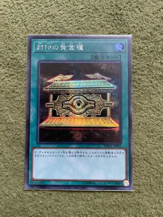 Gold Sarcophagus Secret