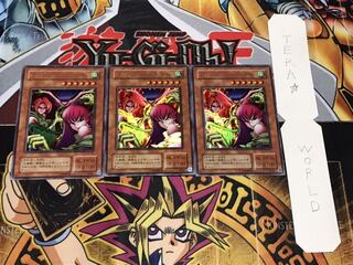 ハーピィ・レディ三姉妹 2期ver ウルトラ 3枚セット