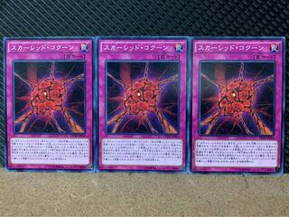 【ぽぽたん】遊戯王 1897 スカーレッド・コクーン 3枚 ノーマル