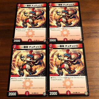 First team Tutu Squirrel C 63/84