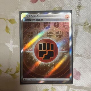 基本闘エネルギー SR 256/172