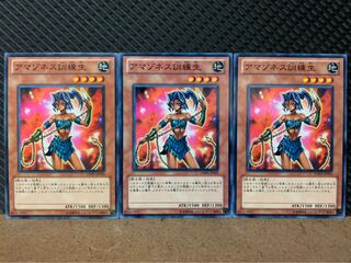 【ぽぽたん】遊戯王 7737 アマゾネス訓練生 3枚 ノーマル