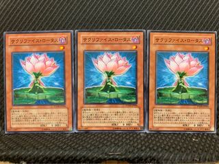 【ぽぽたん】遊戯王 1873 サクリファイス・ロータス 3枚 ノーマル