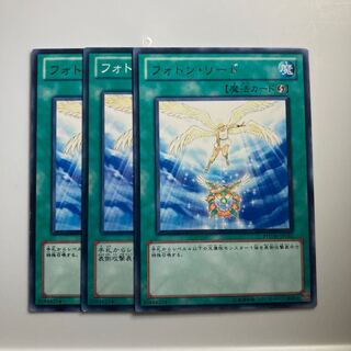 7958 フォトン・リード ノーマル JP024