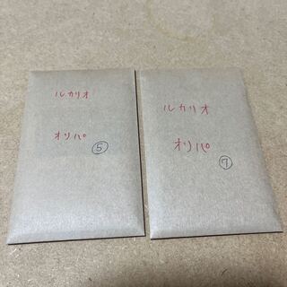 Dedicated to [A Squirrel