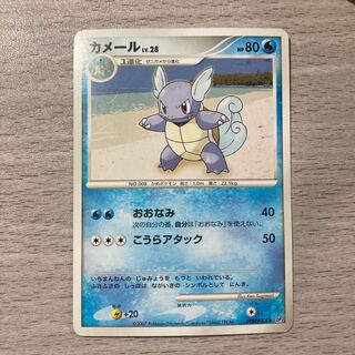 Wartortle DPBP#008