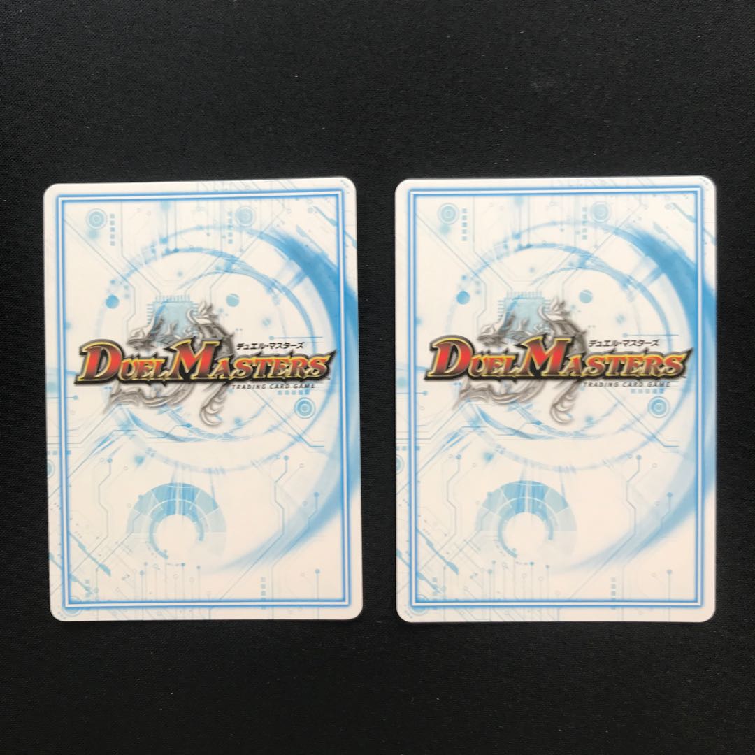 ゴッドガヨンダム　シク2枚セット