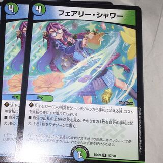 2枚　フェアリーシャワー