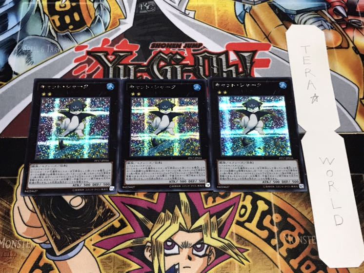 キャット・シャーク シークレット 3枚セット