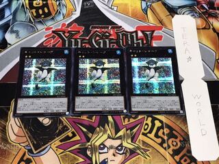 キャット・シャーク シークレット 3枚セット