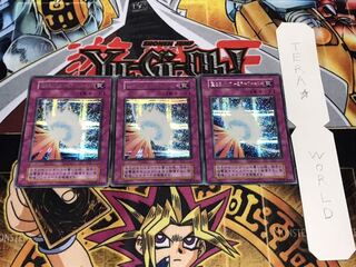 かなかな様 専用 1枚