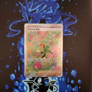 Vivify SAR 243/172 in Gardenia