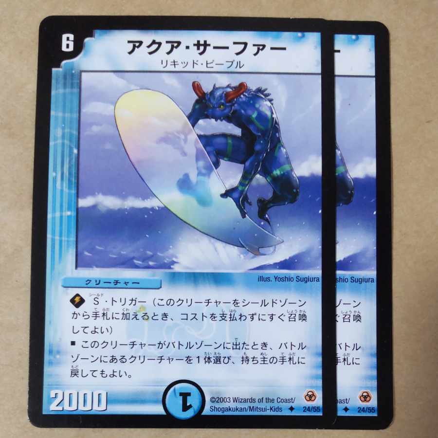 Aqua Surfer 2 sheets