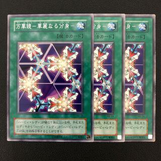 Kaleidoscope - Brilliant alter ego - 3 character rare 2 terms