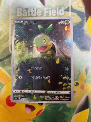 1 Pokémon card Turtwig AR