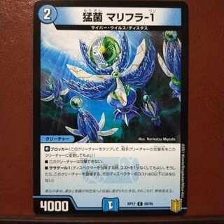 kng676 set discount marifura-1 c 69/95