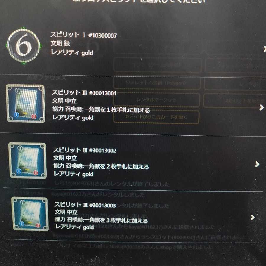 スピリット（SAI様専用）