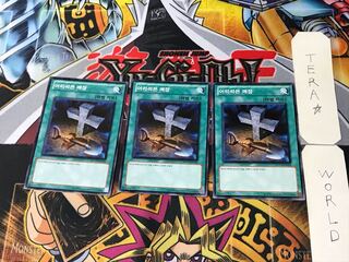 Korean Foolish Burial 1 Normal 3-card set Tera