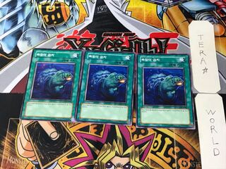 Korean Edition Moray of Greed 1 Normal, set of 3 Tera.