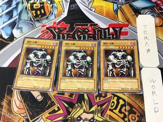 Korean version Summoned Skull 2 Normal, set of 3 Tera.