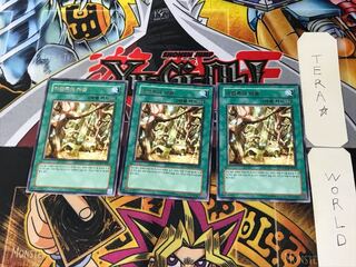 韓国版 魔法族の里 1 レア 3枚セット てら