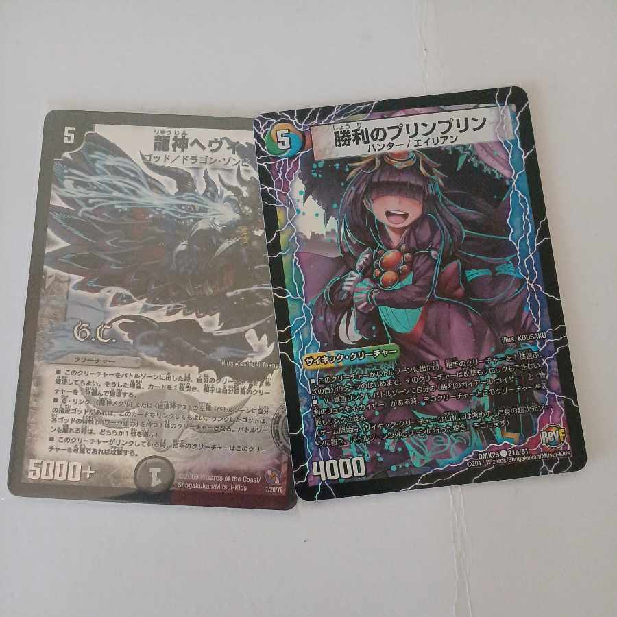 Ryujin Hevy (G.C) 1/20/Y8 for Mr. Takeren