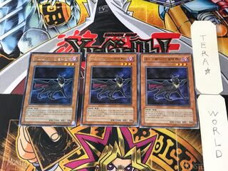 Korean Neo-Spacian Dark Panther 1 rare, set of 3 Tera.