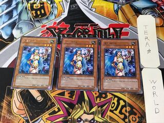 韓国版 デーモン・テイマー 1 レア 3枚セット てら