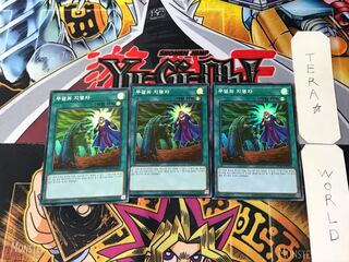Korean edition Called by the Grave 1 Super 3-card set Tera