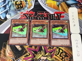 Korean version Mist Valley Baby Roc 2 Super set of 3 Tera