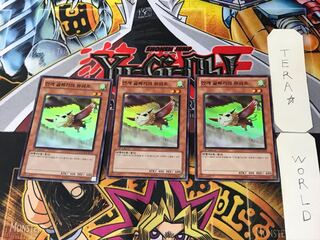 Korean version Mist Valley Baby Roc 3 Super 3-pc. set Tera