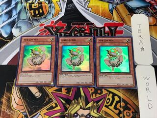 韓国版 魔轟神獣チャワ 1 スーパー 3枚セット てら