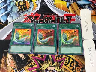 韓国版 ハーピィの羽根箒 1 ウルトラ 3枚セット てら