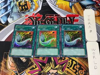 韓国版 ハーピィの羽根箒 2 ウルトラ 3枚セット てら