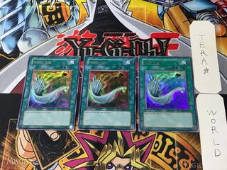 韓国版 ハーピィの羽根箒 3 ウルトラ 3枚セット てら