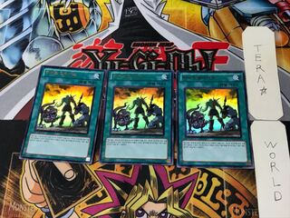 Korean version Hero Alive 1 Ultra 3-card set Tera