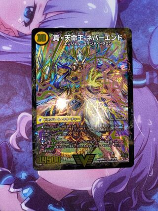 True Sacred Church Endless Heaven｜True Heavenly King Never End VIC V1a/V1｜V1b/V1