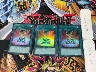 Korean Owner's Seal 5 Ultra, set of 3 Tera.