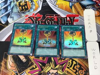 Korean Owner's Seal 6 Ultra, set of 3 Tera.