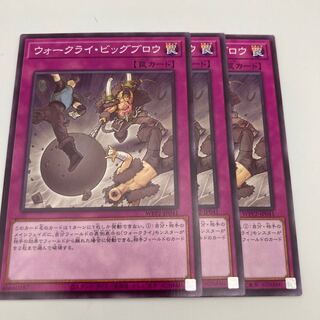 ウォークライ・ビッグブロウ ノーマル JP041 3枚