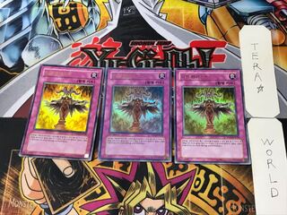 Korean version Evil Blast 5 Ultra, set of 3 Tera.