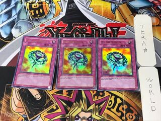 Korean Version All Purpose Ground Lightning Graymore 4 Ultra Set of 3 Tera