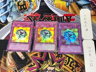 Korean Version All Purpose Ground Lightning Graymore 6 Ultra Set of 3 Tera