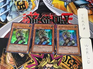 韓国版 E・HERO フォレストマン 1 ウルトラ 3枚セット てら