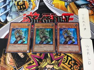 韓国版 E・HERO フォレストマン 3 ウルトラ 3枚セット てら