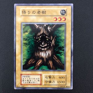 遊戯王 悟りの老樹 初期