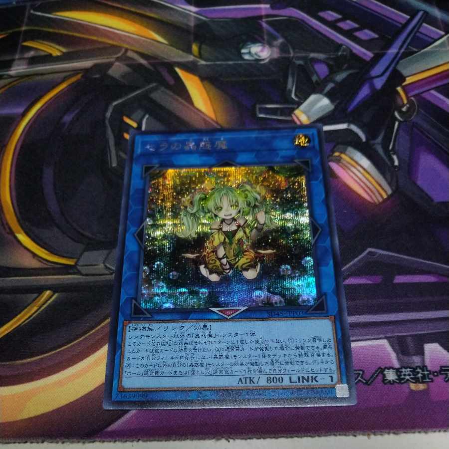 The Enchantment of Atipus The Enchantment of Sera Secret