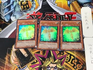 Korean version Hecatrice 5 Ultra, set of 3 Tera.